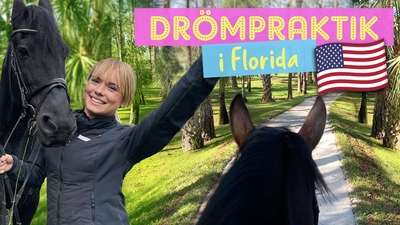 1. Drömpraktik i Florida