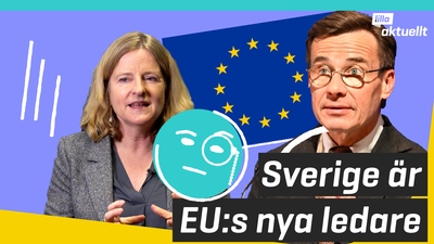 Sverige är EU:s nya ledare