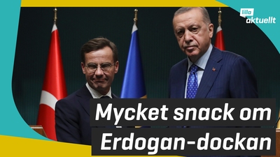 Mycket snack om Erdogan-dockan