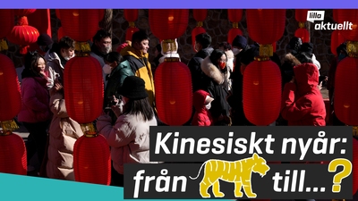 Nu firas kinesiskt nyår
