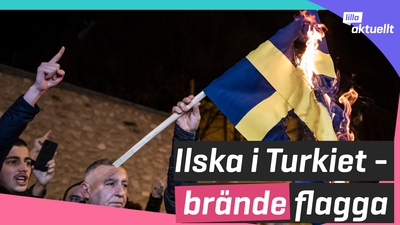 Ilska i Turkiet - inget Nato-stöd?