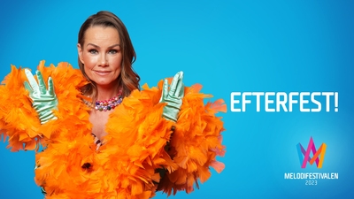 Efterfest deltävling 1