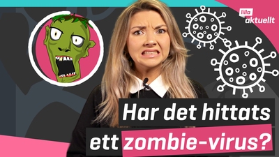 Det sprids rykten om zombie-virus