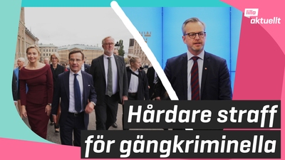 Hårdare straff för gängkriminella