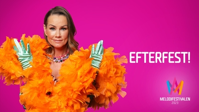 Efterfest deltävling 4
