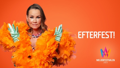 Efterfest semifinalen