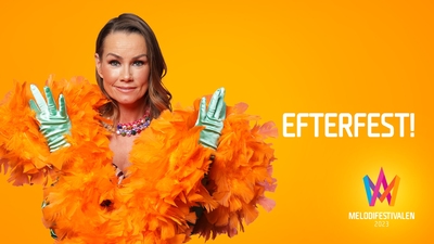 Efterfest finalen