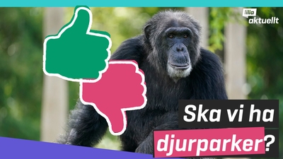 Olika åsikter om djurparker