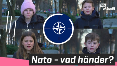 Vad händer med Sveriges Nato-ansökan?
