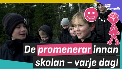 Klassen promenerar innan skolan varje dag