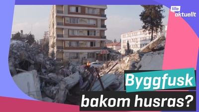 Byggfusk bakom husras?