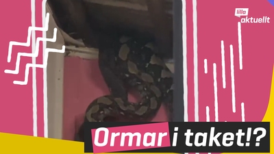 Ormar i taket?!