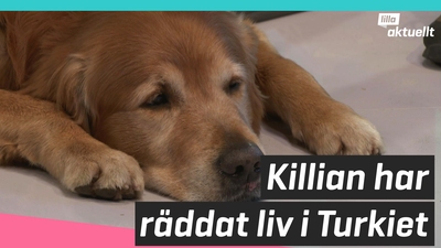 Killian har räddat liv i Turkiet