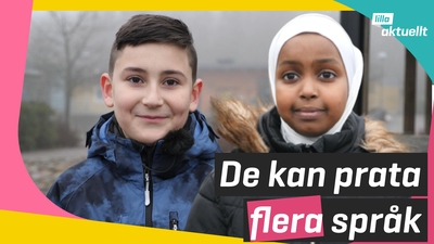 De pratar flera språk