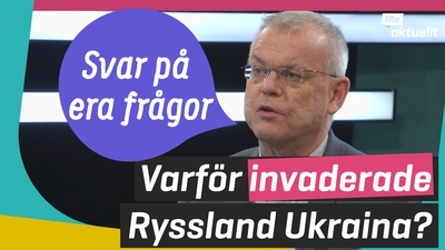 Experten svarar på era frågor