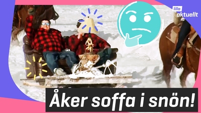 De åker soffa bakom en häst!