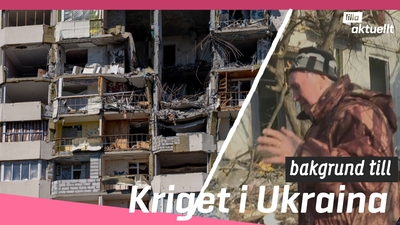 Kriget i Ukraina