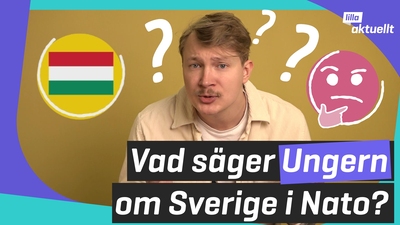Bestämmer Ungern om Sverige i Nato? 