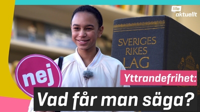 Yttrandefrihet: Vad får man säga?