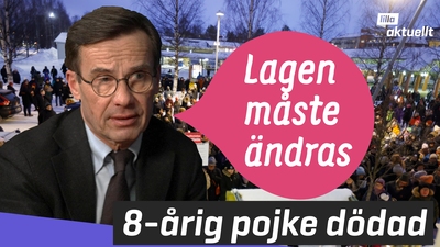 8-årig pojke dödad