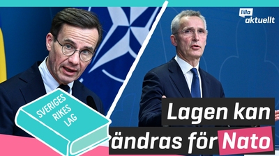 Lagen kan ändras för Nato