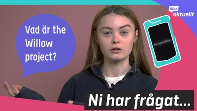 Vad är The Willow Project?