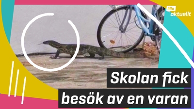 Skolan fick besök av en varan