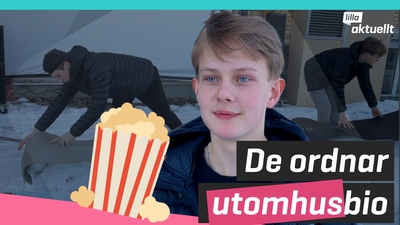 De ordnar utomhusbio