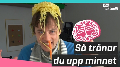Så tränar du upp minnet
