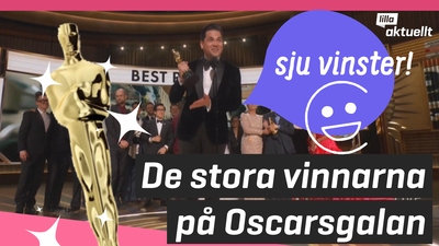 De stora vinnarna på Oscarsgalan