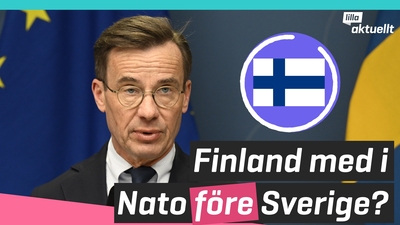 Finland med i NATO före Sverige?