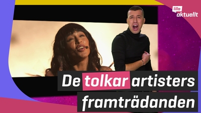 Vi träffar teckenspråksartister