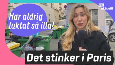 Paris stinker av sopor