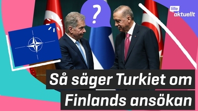 Så säger Turkiet om Finlands Nato-ansökan