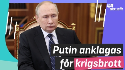 Putin anklagad för krigsbrott