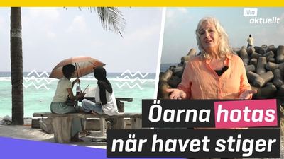 Maldiverna riskerar att översvämmas