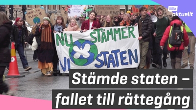 Klimatorganisation stämde staten