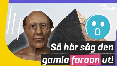 Så här såg Ramses II ut!