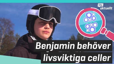 Benjamin behöver livsviktiga celler
