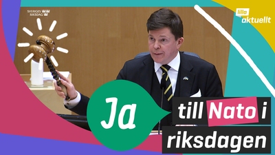 Historiskt Nato-beslut i riksdagen