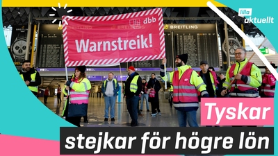 Flera tåg och flyg står still