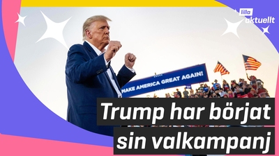 Trump vill bli president i USA igen