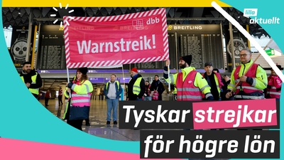 Flera tåg och flyg står still