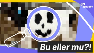 Vad är det här? 🙂