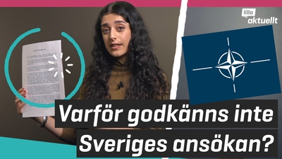 Därför säger Turkiet inte ja