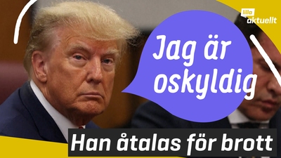 Donald Trump åtalas