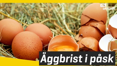 Ont om ägg i påsk