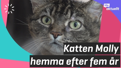 Var spårlöst försvunnen