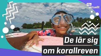 Maldiverna riskerar försvinna