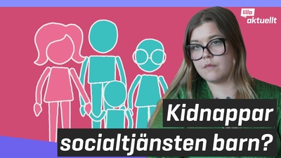 Kidnappar socialtjänsten barn?